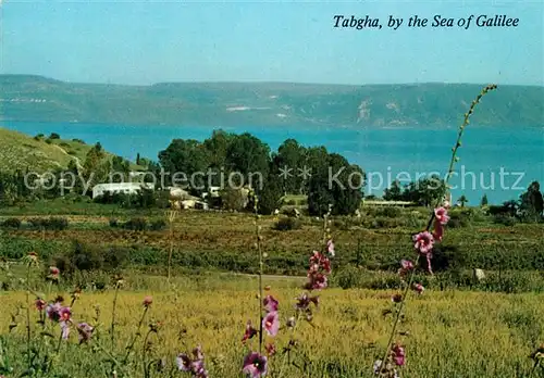 AK / Ansichtskarte Tabgha Sea of Galilee Tabgha