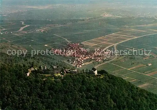 AK / Ansichtskarte Eschbach_Pfalz Fliegeraufnahme  Eschbach Pfalz