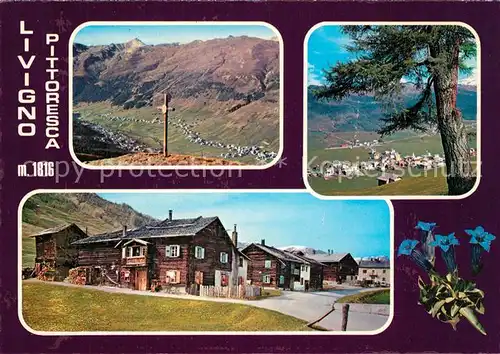 AK / Ansichtskarte Livigno Panorama Alta Valtellina  Livigno