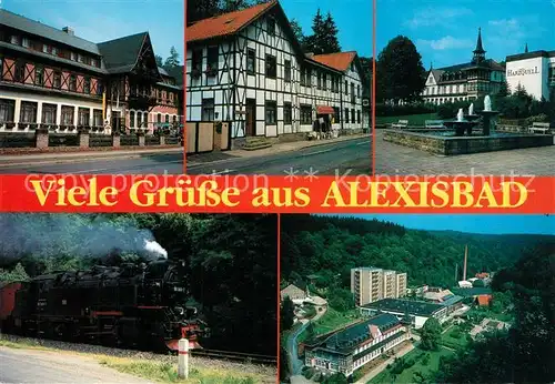 AK / Ansichtskarte Alexisbad_Harz Hotel Habichtstein Haus Elysium Hotel Harzquell Brunnen Selketalbahn Dampflokomotive Alexisbad_Harz
