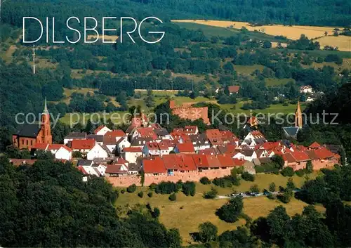 AK / Ansichtskarte Dilsberg Fliegeraufnahme Dilsberg