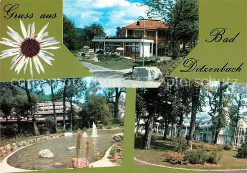 AK / Ansichtskarte Bad_Ditzenbach Haus des Gastes Haus Vinzenz Haus Maria Springbrunnen Park Bad_Ditzenbach
