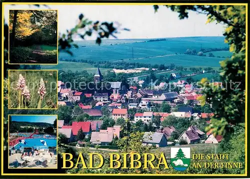 AK / Ansichtskarte Bad_Bibra Stadtpanorama Waldpartie Natur Freibad Bad_Bibra