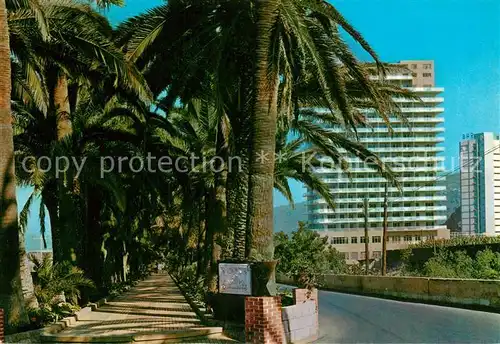 AK / Ansichtskarte Puerto_de_la_Cruz Hotel San Felipe Puerto_de_la_Cruz