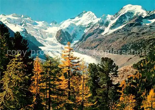 AK / Ansichtskarte Morteratschgletscher Bellavista Piz Bernina  Morteratschgletscher