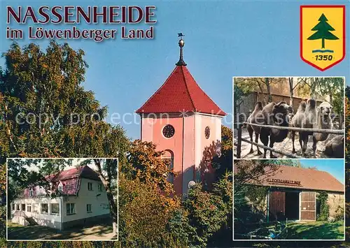 AK / Ansichtskarte Nassenheide Dorfkirche Kamele Fleckschnupphof Kindergaestehaus der GFJ Nassenheide