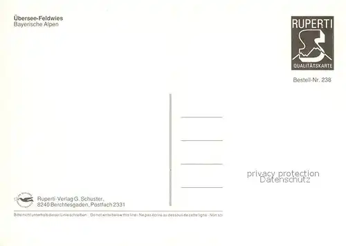 AK / Ansichtskarte Feldwies Kirche Feldwies