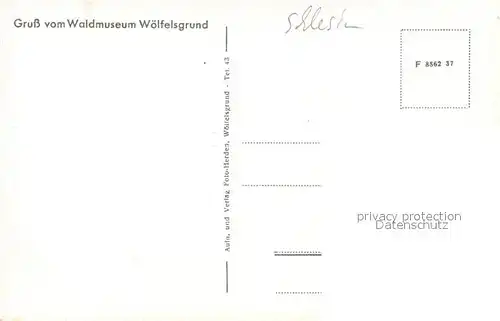 AK / Ansichtskarte Woelfelsgrund Rosengarten Zwergenkoenig Lauris Waldmuseum Woelfelsgrund