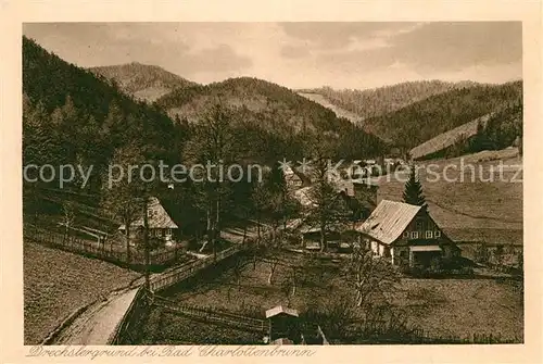AK / Ansichtskarte Bad_Charlottenbrunn Drechslergrund Bad_Charlottenbrunn