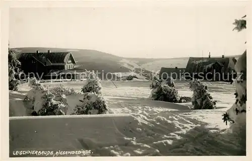 AK / Ansichtskarte Riesengebirge Leischnerbaude Winter Riesengebirge