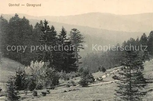 AK / Ansichtskarte Oberhof_Thueringen Obragrund Oberhof Thueringen