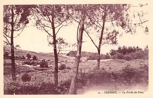 AK / Ansichtskarte Treboul Foret de Pins Treboul