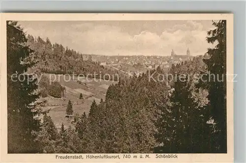 AK / Ansichtskarte Freudenstadt Schoenblick Panorama Feldpost Freudenstadt