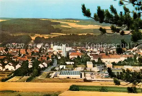 AK / Ansichtskarte Marktheidenfeld  Marktheidenfeld