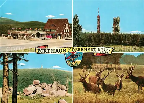 AK / Ansichtskarte Torfhaus_Harz Sporthotel Brockenblick Torfhaus Harz