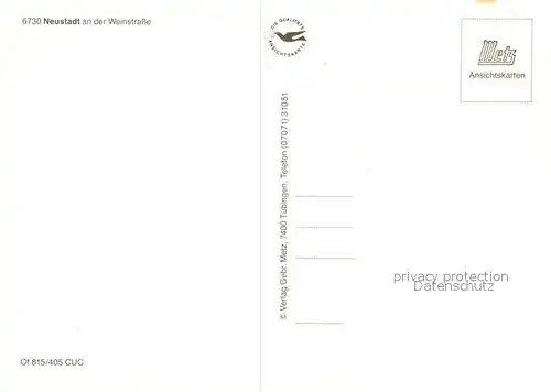 AK / Ansichtskarte Neustadt_Weinstrasse Brunnen Marktplatz Stadtansichten Neustadt_Weinstrasse