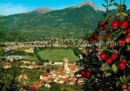 AK / Ansichtskarte Marling Panorama Obstbaum Marling