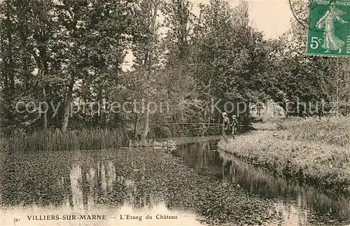 AK / Ansichtskarte Villiers sur Marne Etang du Chateau Villiers sur Marne