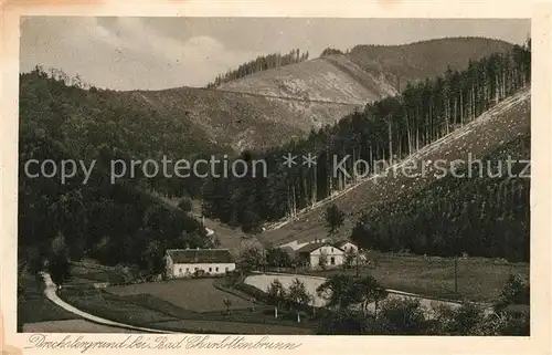 AK / Ansichtskarte Bad_Charlottenbrunn Drechslergrund Bad_Charlottenbrunn