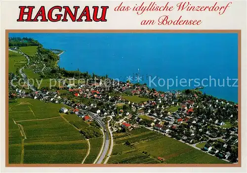 AK / Ansichtskarte Hagnau_Bodensee Fliegeraufnahme Hagnau Bodensee