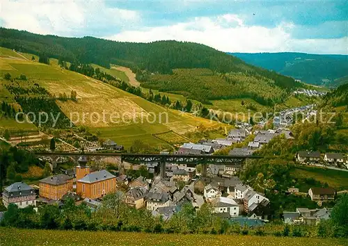 AK / Ansichtskarte Ludwigsstadt Panorama Ludwigsstadt