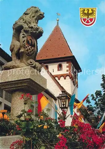 AK / Ansichtskarte Marktredwitz Rawetzer Brunnenloewe Marktredwitz