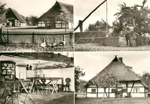 AK / Ansichtskarte Klockenhagen Denkmalhof Klockenhagen