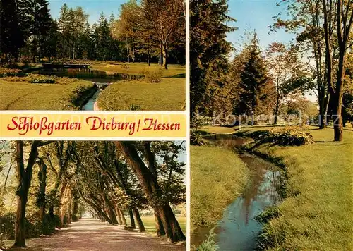 AK / Ansichtskarte Dieburg Schlossgarten Baumalle Partie am Bach Dieburg