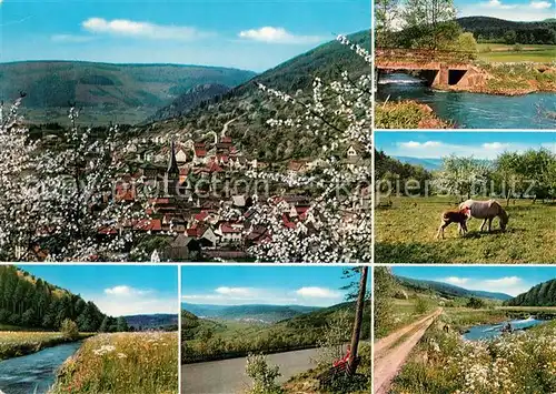 AK / Ansichtskarte Schneeberg_Unterfranken Panorama Baumbluete Partie am Fluss Landschaft Natur Pferde Schneeberg Unterfranken