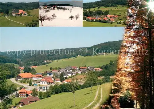 AK / Ansichtskarte Biederbach_Schwarzwald Teilansichten Panorama Biederbach Schwarzwald