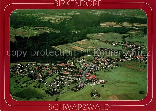 AK / Ansichtskarte Birkendorf Fliegeraufnahme Birkendorf