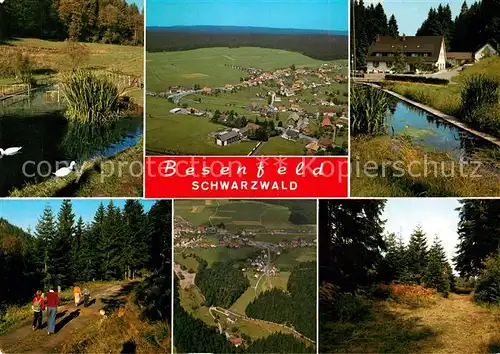 AK / Ansichtskarte Besenfeld Schwanenteich Panorama Fliegeraufnahme Waldpartien Besenfeld