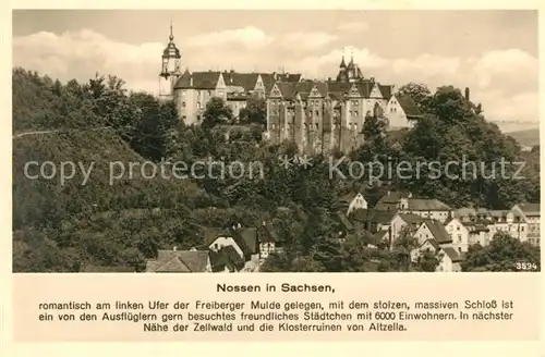 AK / Ansichtskarte Nossen Altstadt mit Schloss Nossen
