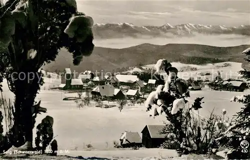 AK / Ansichtskarte Saig_Schwarzwald Winterpanorama Alpenkette Saig Schwarzwald