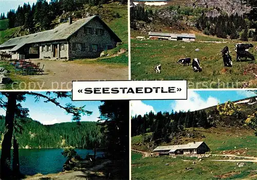 AK / Ansichtskarte Soultzeren Auberge d ete Seestaedtle See Vogesen Soultzeren