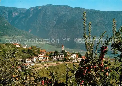 AK / Ansichtskarte Dorf_Tirol Panorama Dorf_Tirol