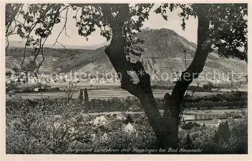 AK / Ansichtskarte Heppingen_Ahr Burgruine Landskron Heppingen Ahr