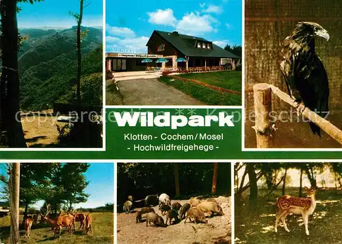 AK / Ansichtskarte Cochem_Mosel Wildpark Klotten Hochwildfreigehege Cochem Mosel