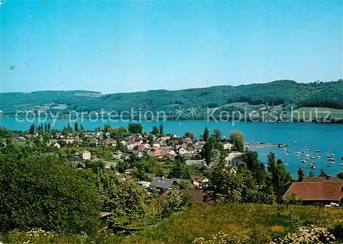 AK / Ansichtskarte Wangen_Bodensee Halbinsel Hoeri Wangen Bodensee