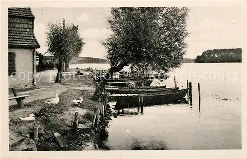 AK / Ansichtskarte Lychen Strandpromenade am Oberpfuhl Lychen