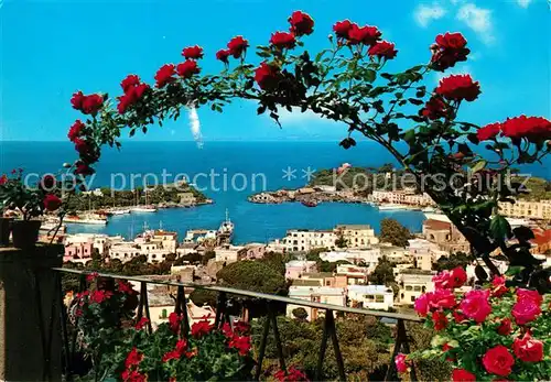 AK / Ansichtskarte Porto_d_Ischia Duchblick zum Hafen Blumenranken Porto_d_Ischia