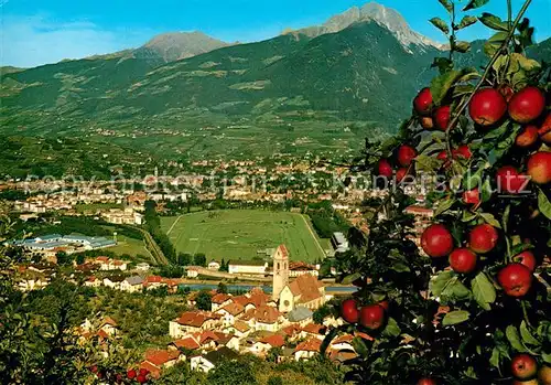 AK / Ansichtskarte Marling Panorama Blick ins Tal Pferderennplatz Alpen Obstbaum Marling