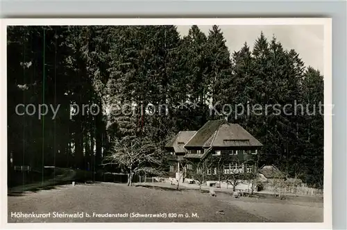 AK / Ansichtskarte Steinwald Pension Villa Heinzelmann Steinwald