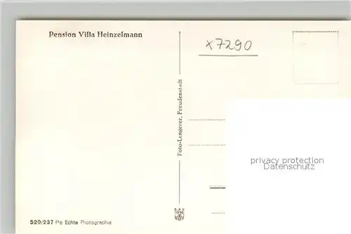 AK / Ansichtskarte Steinwald Pension Villa Heinzelmann Steinwald