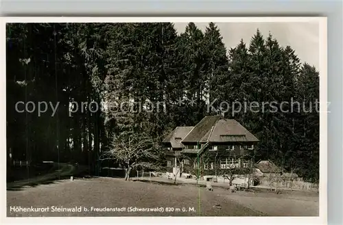 AK / Ansichtskarte Steinwald Pension Villa Heinzelmann Steinwald