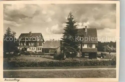 AK / Ansichtskarte Zwieselberg_Freudenstadt Gasthof Pension Auerhahn Zwieselberg_Freudenstadt