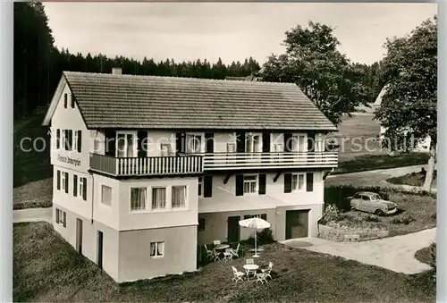 AK / Ansichtskarte Kniebis_Freudenstadt Pension Immergruen Kniebis_Freudenstadt