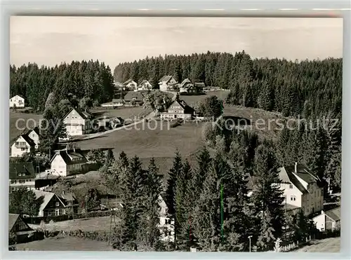AK / Ansichtskarte Kniebis_Freudenstadt Panorama Kniebis_Freudenstadt