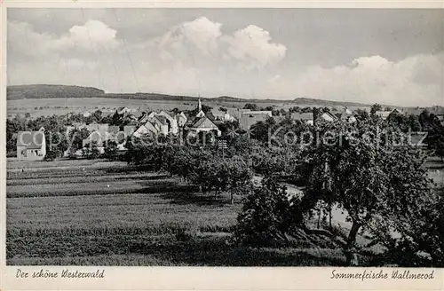 AK / Ansichtskarte Wallmerod Panorama Wallmerod