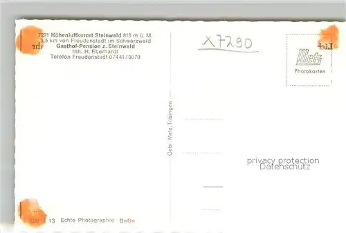 AK / Ansichtskarte Steinwald Gasthof Pension zum Steinwald Steinwald